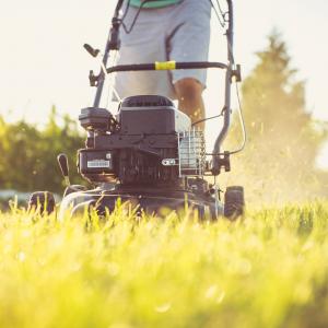 All Things You Need to Know about Lawn Mower Batteries