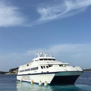 Why is Your Marine Lithium Battery Sooo Hot? —— Thermal Runaway